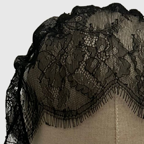 Lace Birdcage Veil